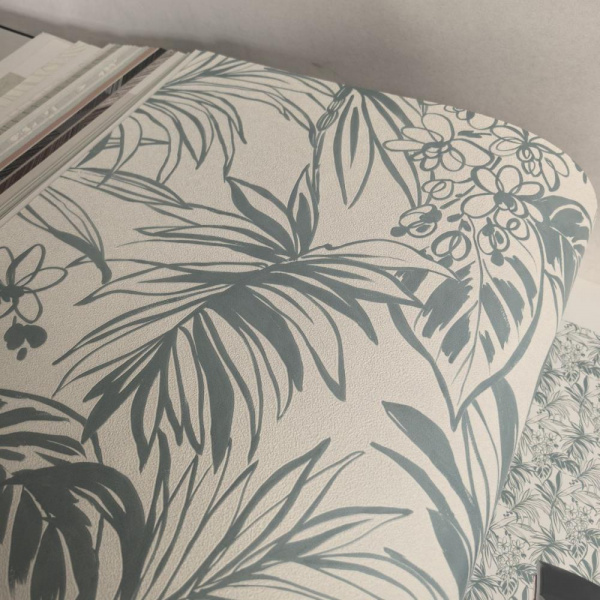 Andrea Rossi Berggi 54446-5