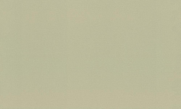 Rasch Novella 983562