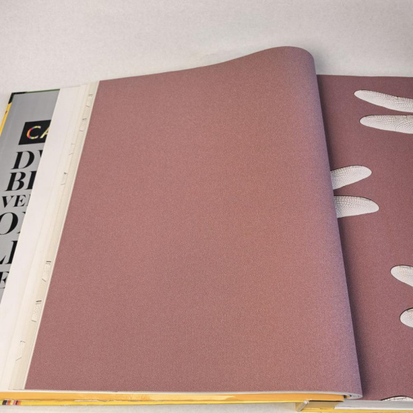 Andrea Rossi Cavolli 54424-9