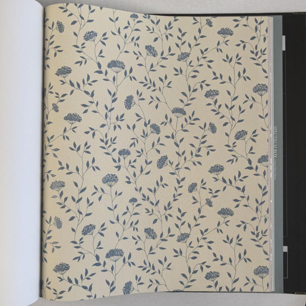 Andrea Rossi Spectrum Box 54456-11