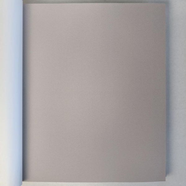 Andrea Rossi Cavolli 54424-8