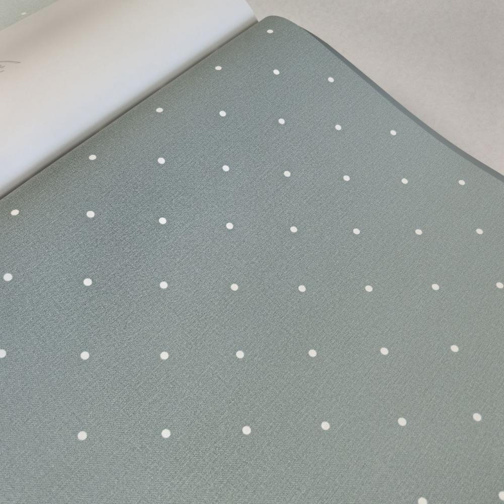 Andrea Rossi Spectrum Box 54454-17