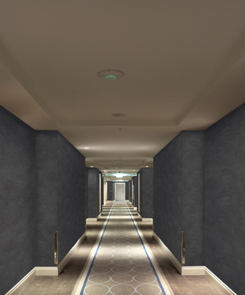 Marburg Solid Contract-Newton 33501