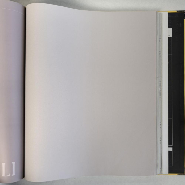 Andrea Rossi Cavolli 54418-8