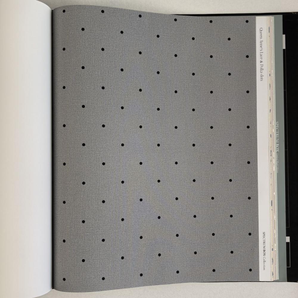 Andrea Rossi Spectrum Box 54454-25