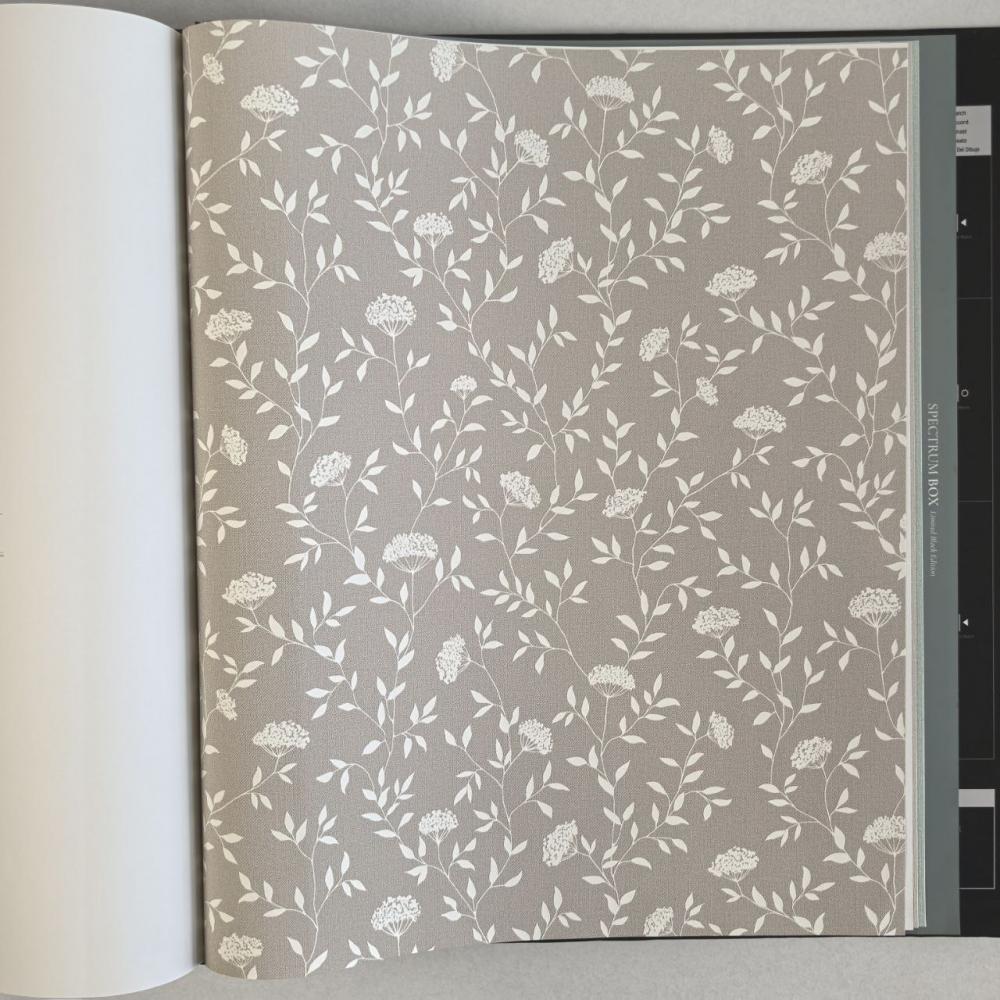 Andrea Rossi Spectrum Box 54456-3