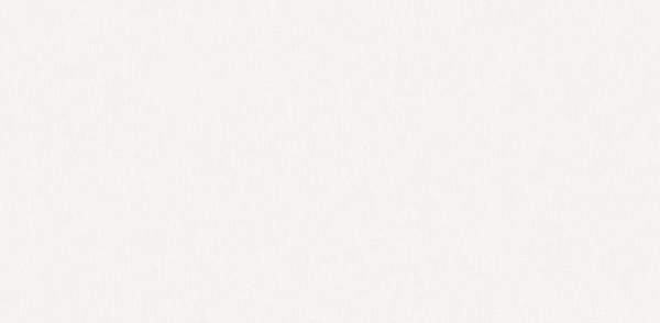 Andrea Rossi Cheradi 54389-4