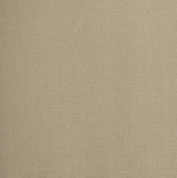 Andrea Rossi Palmaria 54461-8