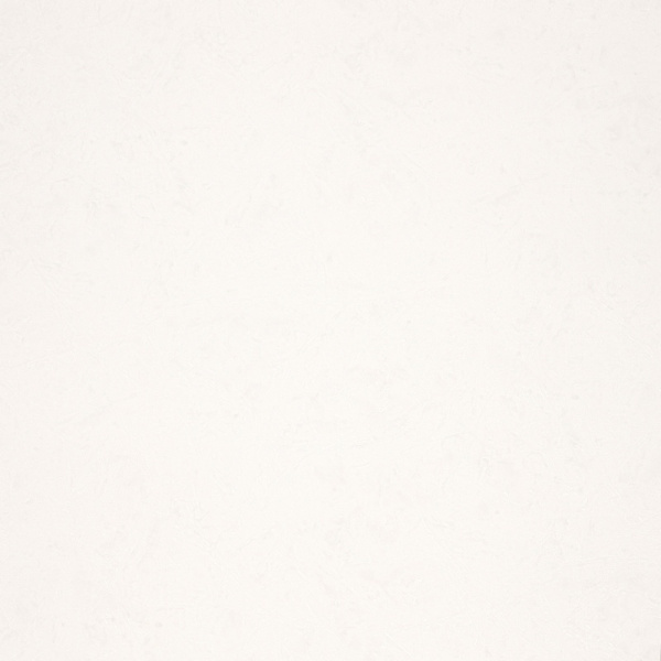 Fipar Modelli Magici R 11580